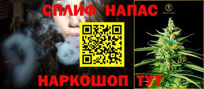 кокс Кингисепп