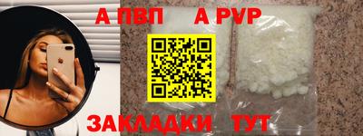 кокс Кингисепп