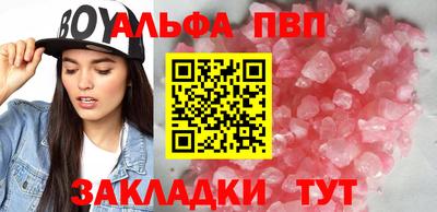 кокс Кингисепп