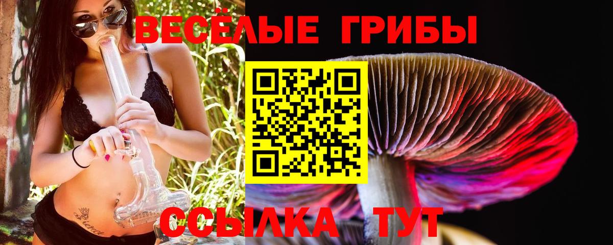 Псилоцибиновые грибы мицелий  Псилоцибиновые грибы мухоморы  Куйбышев  Вход с VPN 