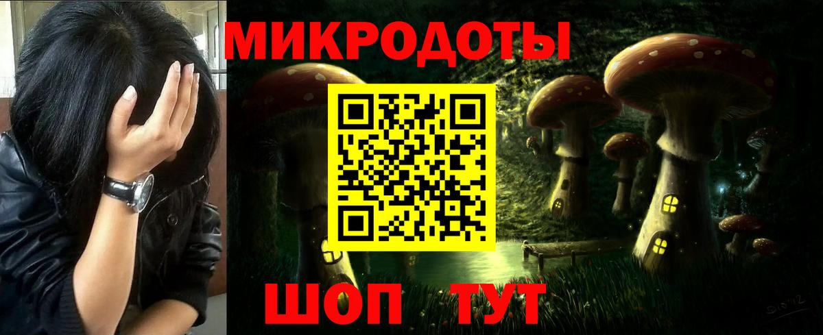Псилоцибиновые грибы мицелий Куйбышев